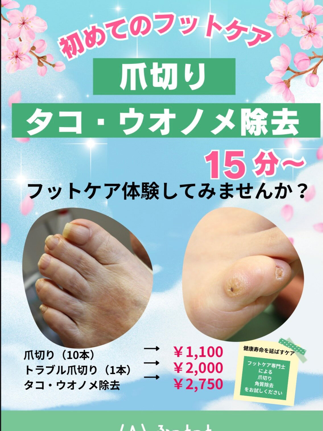 🌿【イベントのお知らせ】🌿