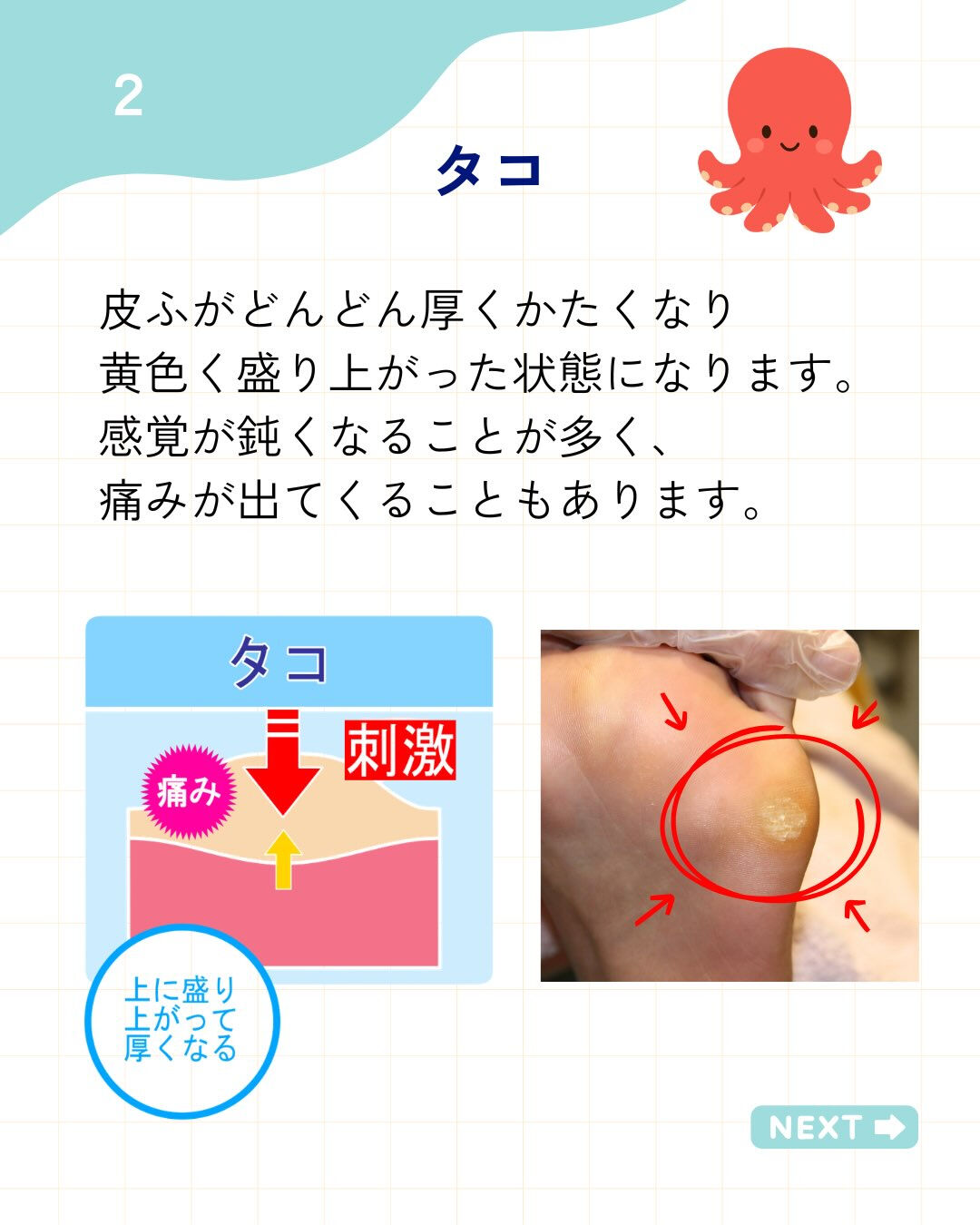 こんにちは！