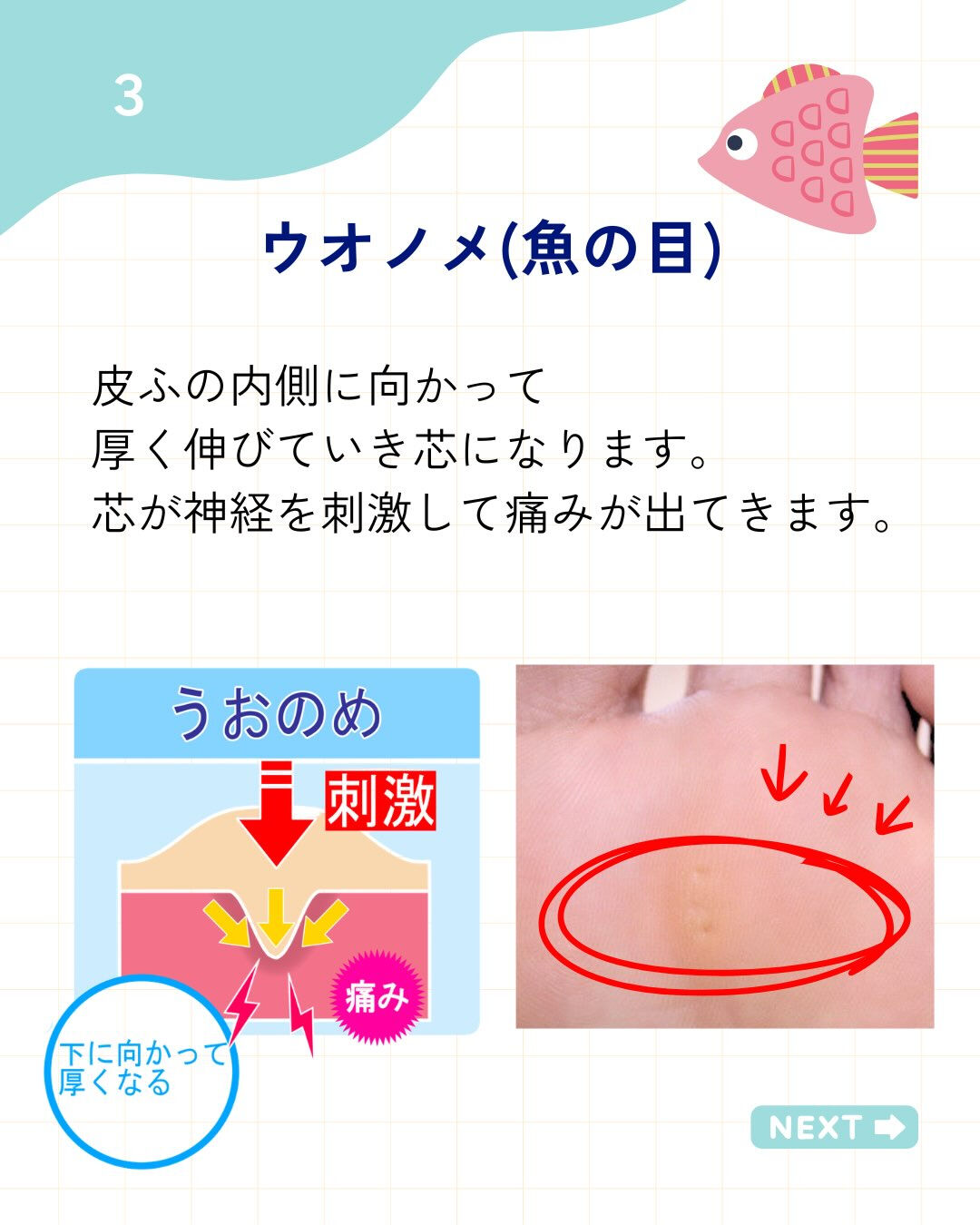 こんにちは！
