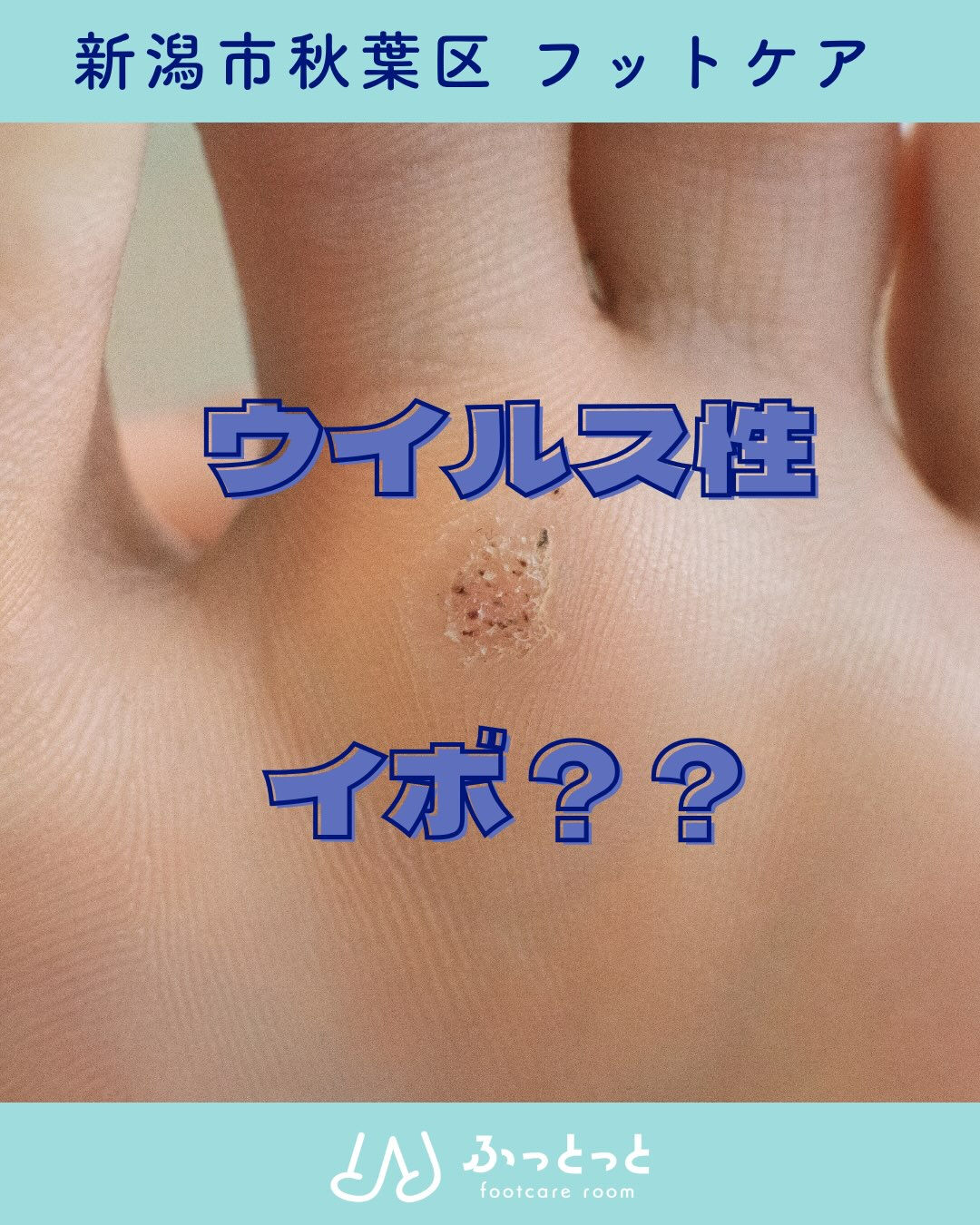 こんにちは