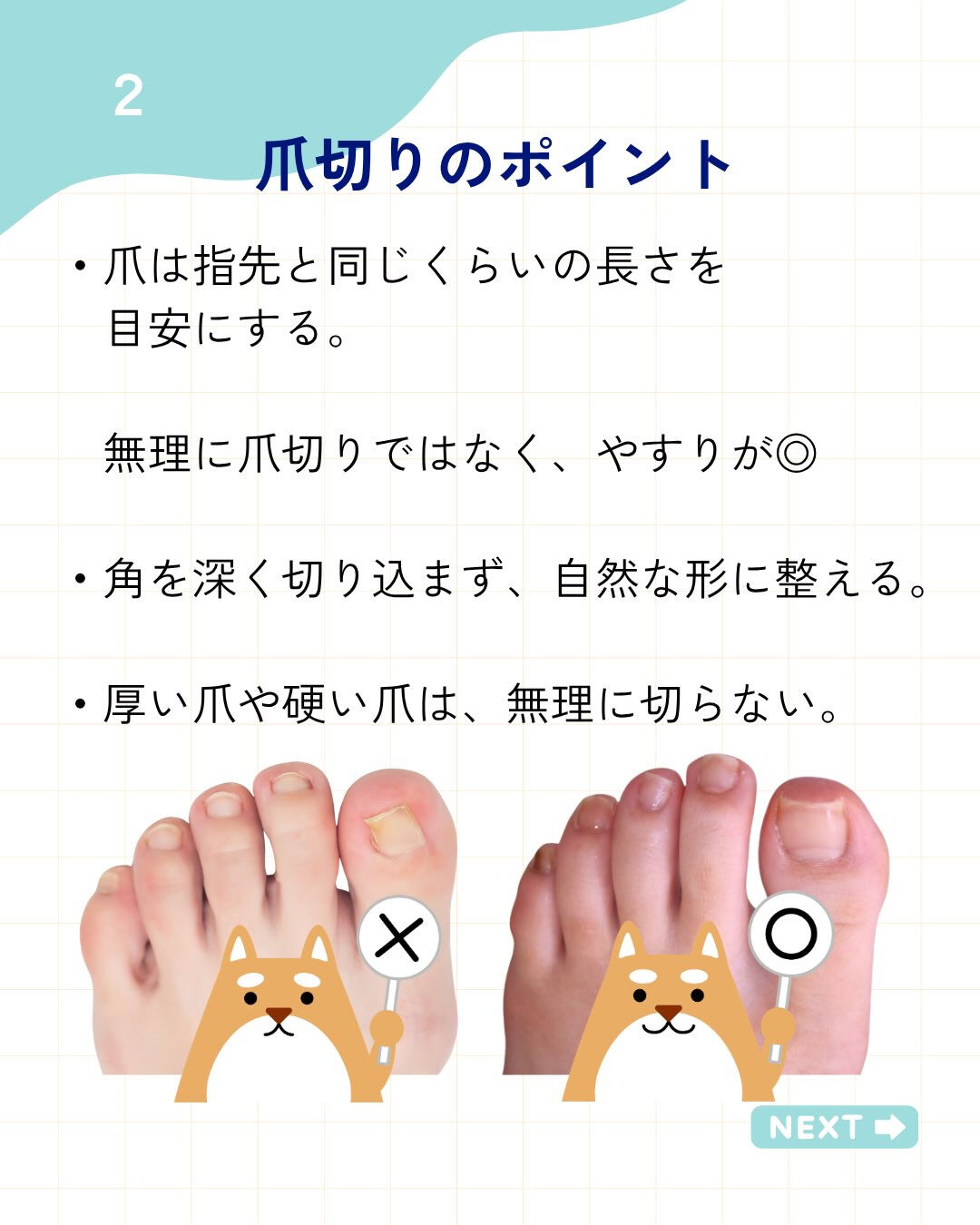 こんにちは！ふっとっとです👣
